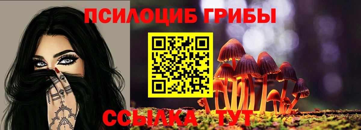 Псилоцибиновые грибы Cubensis Михайловск