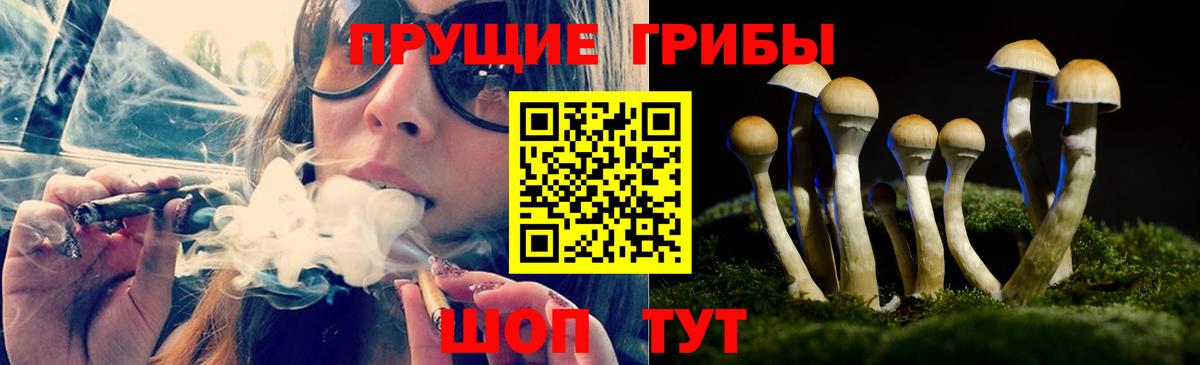 Галлюциногенные грибы Cubensis  Вход с VPN  Михайловск 