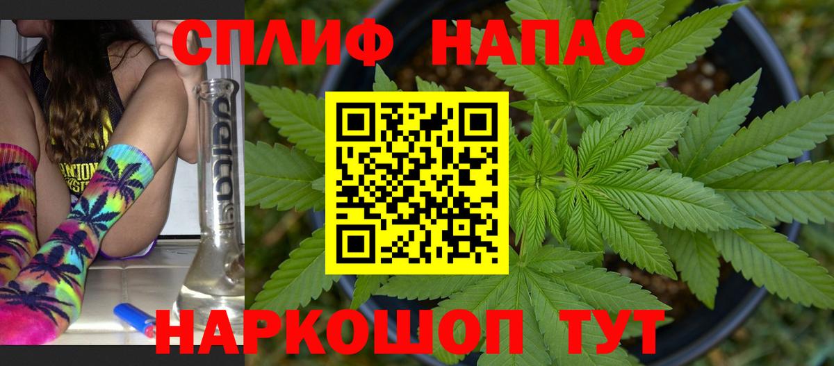 Бошки Шишки планчик  Бошки Шишки гибрид  Михайловск  Вход с VPN 